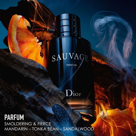 dior sauvage heren parfum aanbieding|Dior Sauvage unisex.